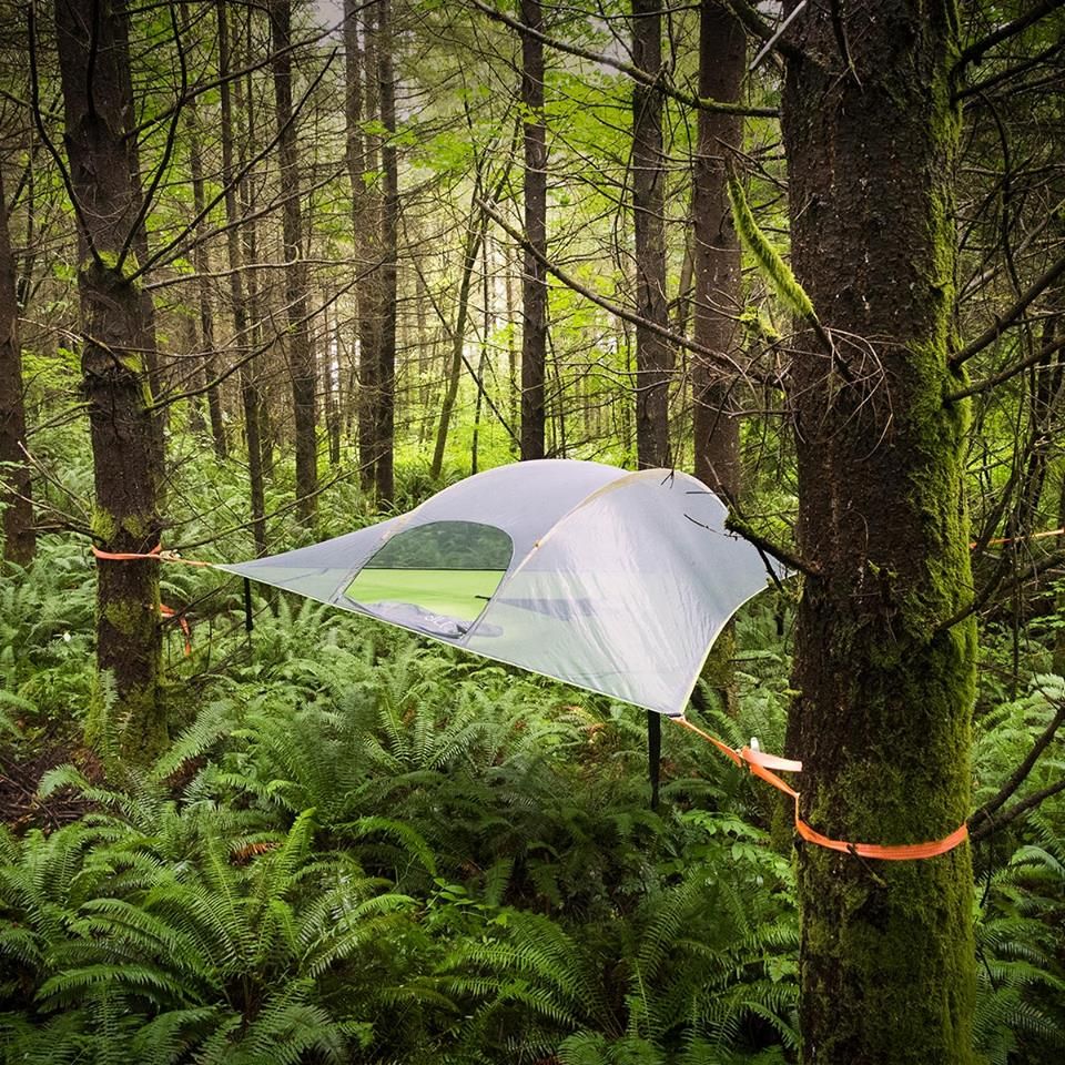 Velora CloudBase™ | 3-Point Outdoor Family Hammock